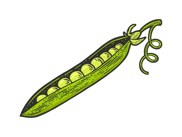 Peas line art color sketch raster illustration — Stockfoto