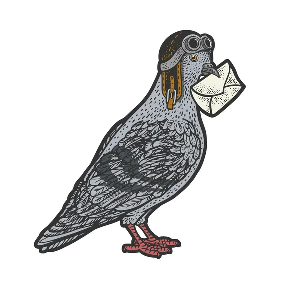 Homing Carrier pigeon color sketch vector — Stockový vektor