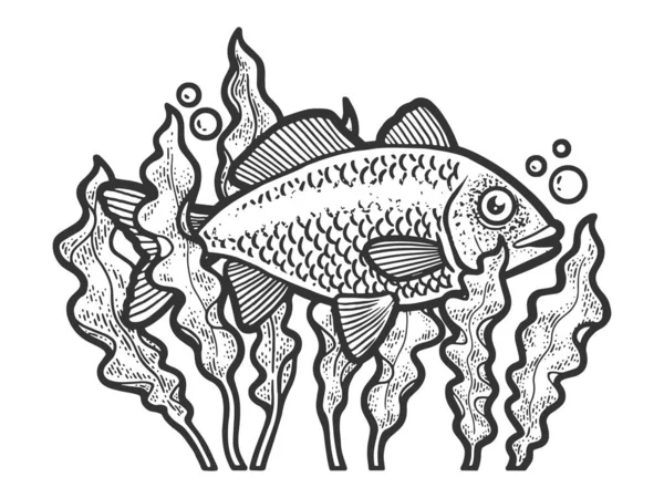 Fish in seaweed algae sketch raster illustration — Fotografia de Stock