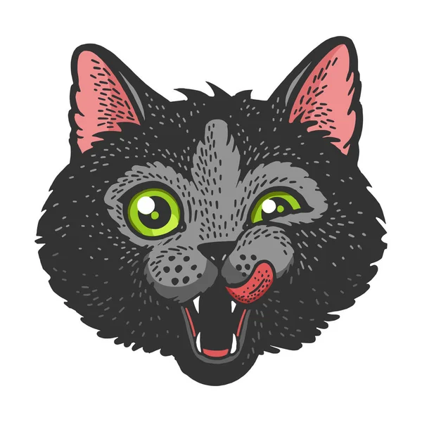 Katzenkopf Gesicht Farbe Skizze Vektor Illustration — Stockvektor