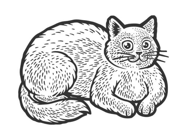 Dibujo de gato gordo ilustración de trama —  Fotos de Stock