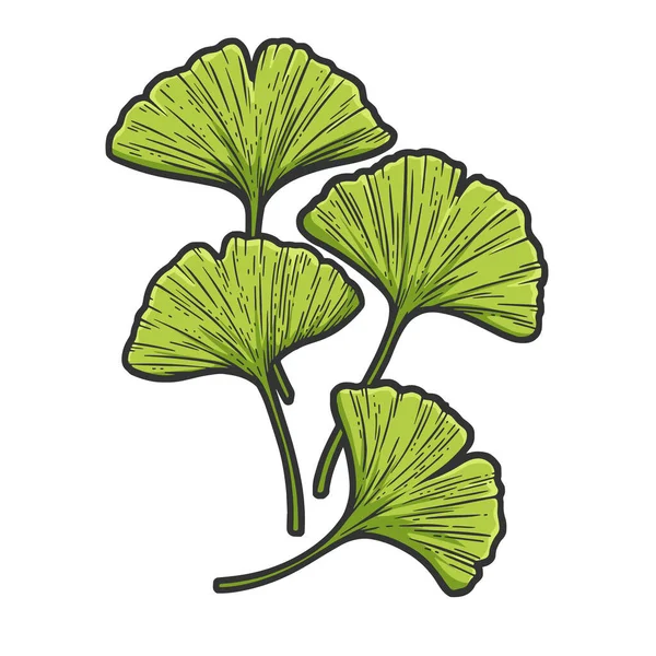 Цветной растер листьев гинкго — стоковое фото