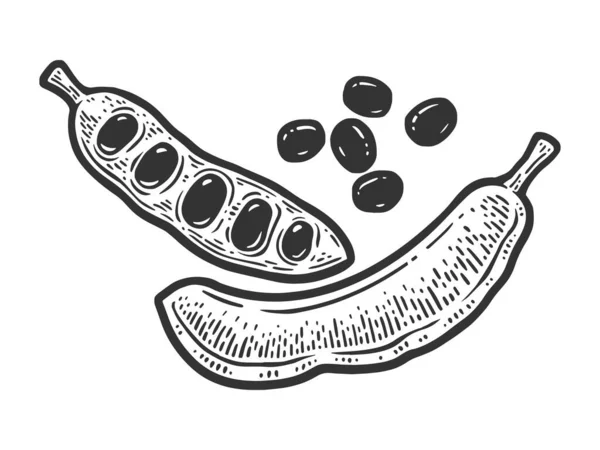 Caroube Carat Arbre Fruits Mûrs Gousses Croquis Gravure Vectoriel Illustration — Image vectorielle