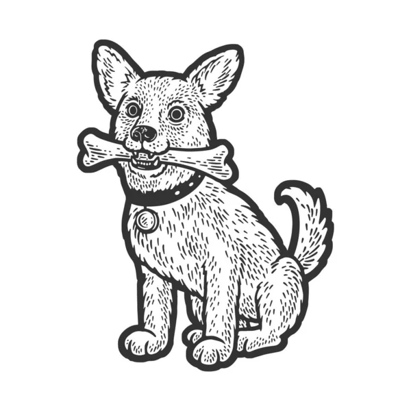 Dog Bone His Teeth Sketch Engraving Raster Illustration Shirt Apparel — Foto Stock