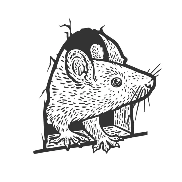 Rat Mouse Peeking Out Hole Wall Sketch Engraving Vector Illustration — Stockový vektor