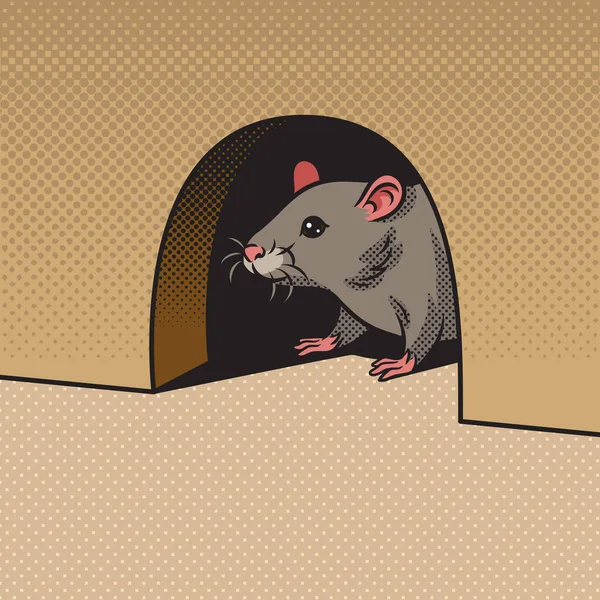 Rat Mouse Peeking Out Hole Wall Pop Art Retro Vector — Stockvektor