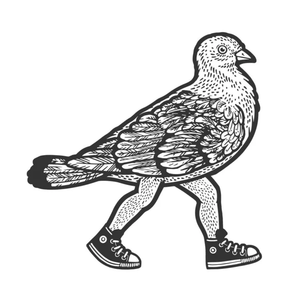 Dove Pigeon Walks Human Feet Sketch Engraving Raster Illustration Scratch — Stock Photo, Image