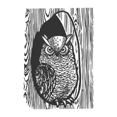 owl in the hollow of a tree sketch halftone pattern vector illustration. Scratch board imitation. Black and white hand drawn image.