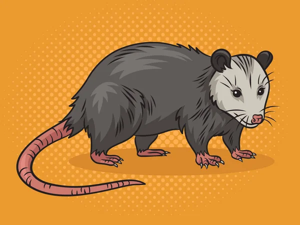 Opossum Possum Animal Pop Art Retro Vector Illustration Comic Book — 스톡 벡터