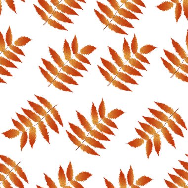 Sonbahar altın rovan yaprakları desen, vektör grafikleri