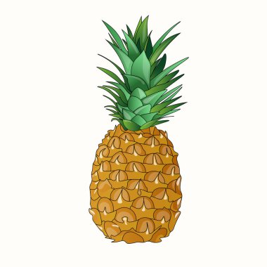 Çizgili bir ananas, vektör grafikleri