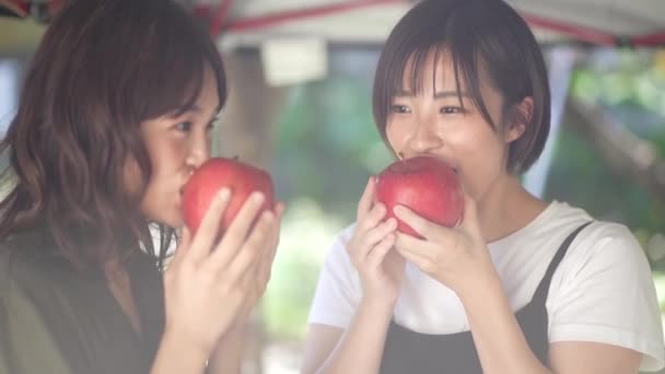 一个女人咬苹果的图片 — 图库视频影像