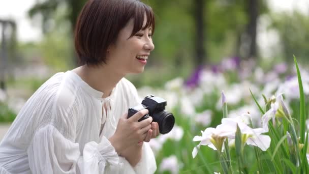 Eine Frau Fotografiert Schwertlilien Mit Einer Spiegelreflexkamera — Stockvideo