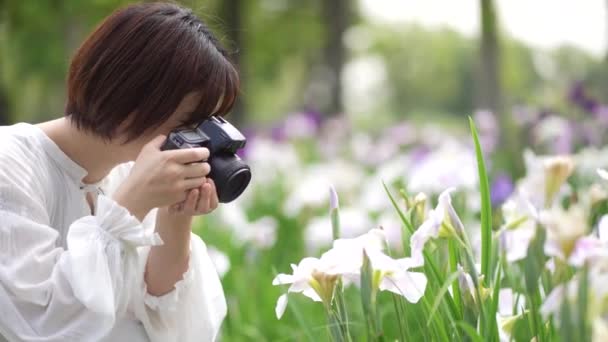 Uma Mulher Atirando Íris Com Uma Câmera Reflexa Lente Única — Vídeo de Stock