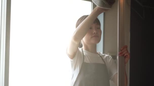 Una Mujer Limpiando Una Puerta Pantalla — Vídeos de Stock