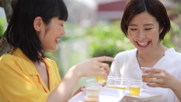 Image Woman Tasting Beer — Stock Video