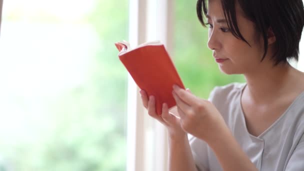 Afbeelding Van Een Vrouw Die Leest — Stockvideo