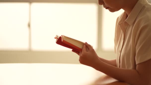 Afbeelding Van Een Vrouw Die Leest — Stockvideo