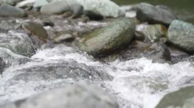 Temiz ve güzel bir nehrin görüntüsü 