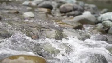 Temiz ve güzel bir nehrin görüntüsü 
