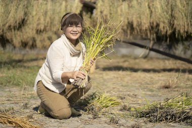 Pirinç kurutan bir kadın resmi 