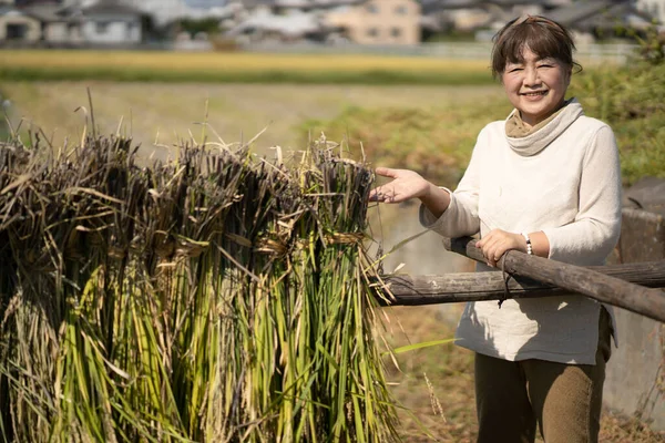 Εικόνα Μιας Γυναίκας Που Στεγνώνει Ρύζι — Φωτογραφία Αρχείου