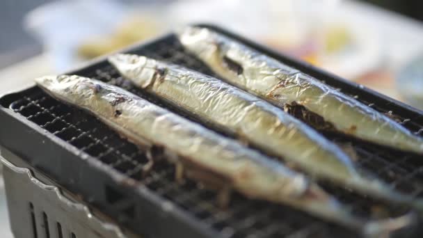 Nahaufnahme Von Saury Fisch Kochen Auf Dem Grill — Stockvideo