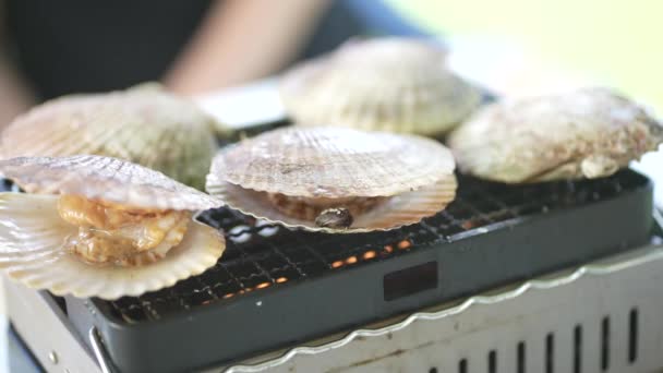 Image Grilled Scallops — Stockvideo