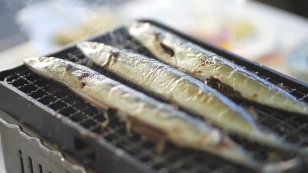 Saury Grilled Net — Stockvideo
