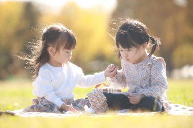 Children having a picnic 