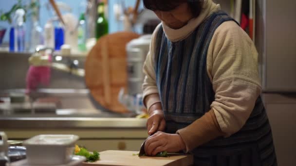 Imagem Uma Mulher Cozinhando — Vídeo de Stock