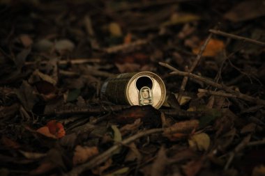 Ağaç dalındaki sevimli bir kuşun yakın plan fotoğrafı.