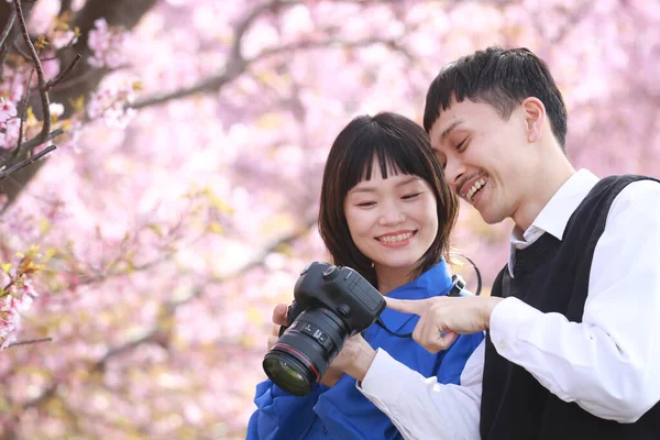 幸せな若いアジアのカップル桜の木の写真を撮る — ストック写真