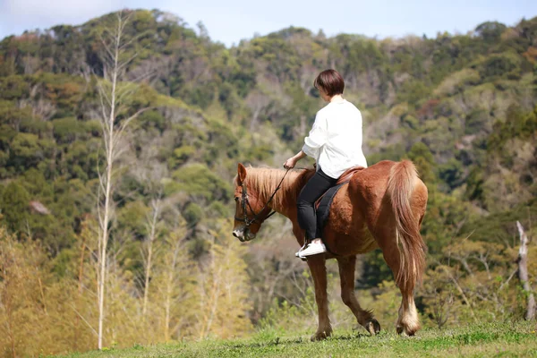 Beautiful Asian Girl Horse Park — Stock Photo, Image