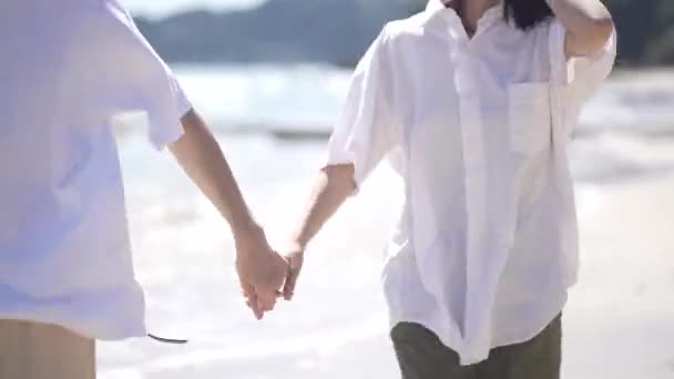 Pasangan Berjalan Pantai — Stok Video