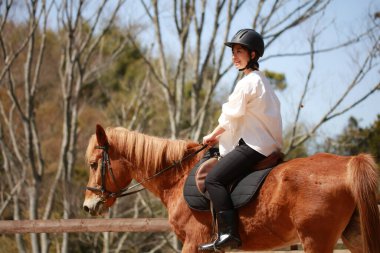 Parkta atı olan güzel Asyalı kız.