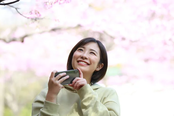 Jeune Femme Prenant Des Photos Sakura Arbre — Photo