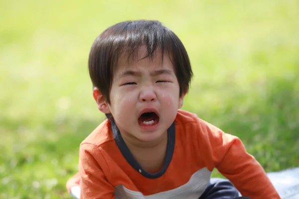 Πορτρέτο Ενός Χαριτωμένου Μικρού Αγοριού Που Κλαίει — Φωτογραφία Αρχείου