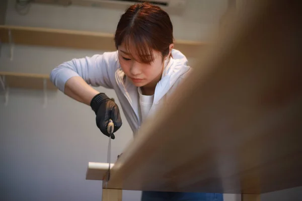 Νεαρή Ασιάτισσα Ξυλουργός Επισκευάζει Σπίτι Της — Φωτογραφία Αρχείου