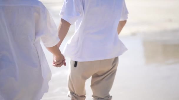 一对夫妇在海滩上散步 — 图库视频影像