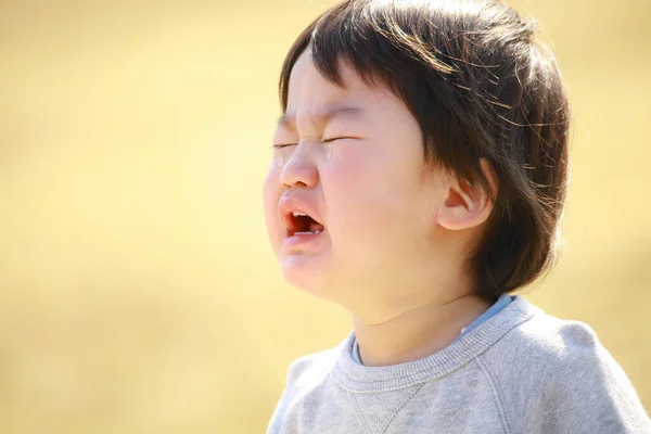 可爱的小男孩在公园里哭泣 — 图库照片