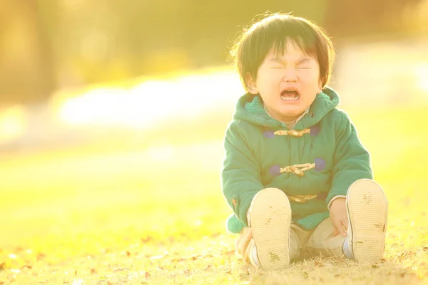 Lindo Asiático Pequeño Niño Llorando Parque —  Fotos de Stock