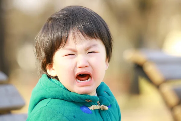 一个可爱的小男孩在户外哭泣的肖像 — 图库照片