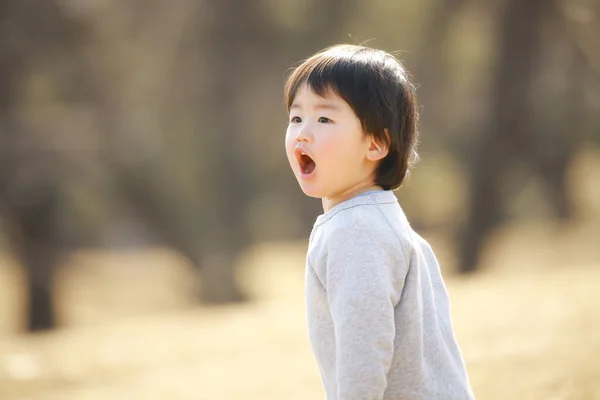 Asian Little Boy Park — Stock Photo, Image