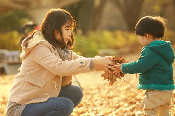 Genç Asyalı anne ve küçük oğlu parkta yapraklarla oynuyorlar.  