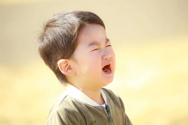一个可爱的小男孩在公园里哭泣的肖像 — 图库照片