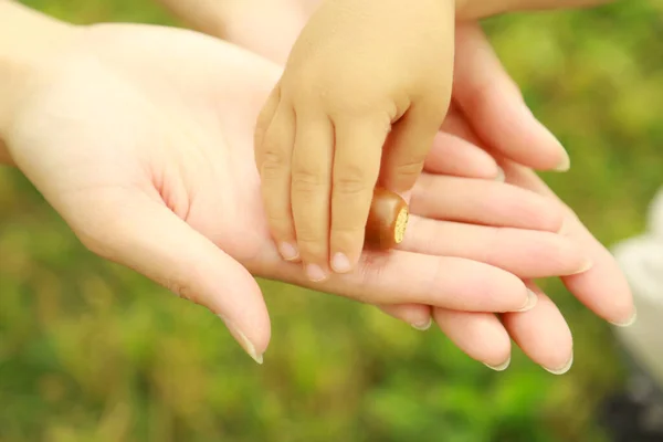 Рука Ребенка Дающего Желудь Матери — стоковое фото