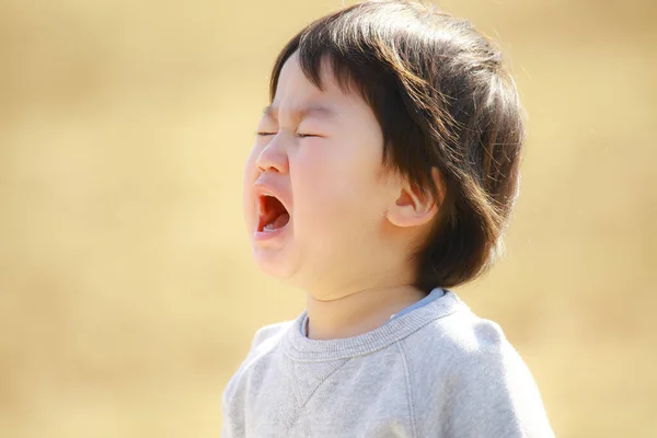 一个可爱的小男孩在公园里哭泣的肖像 — 图库照片