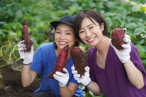 Ευτυχισμένες Γιαπωνέζες Που Δείχνουν Μεγάλες Κόκκινες Πατάτες Στον Κήπο — Φωτογραφία Αρχείου