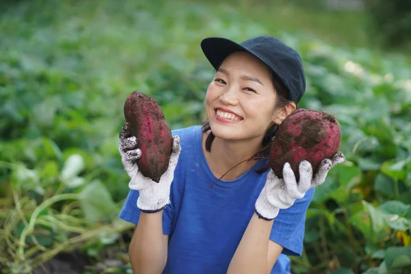 Ευτυχισμένη Γιαπωνέζα Που Δείχνει Μεγάλες Κόκκινες Πατάτες Στον Κήπο — Φωτογραφία Αρχείου